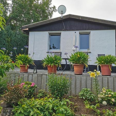 Ferienhaus Appold 韦尼格罗德 外观 照片
