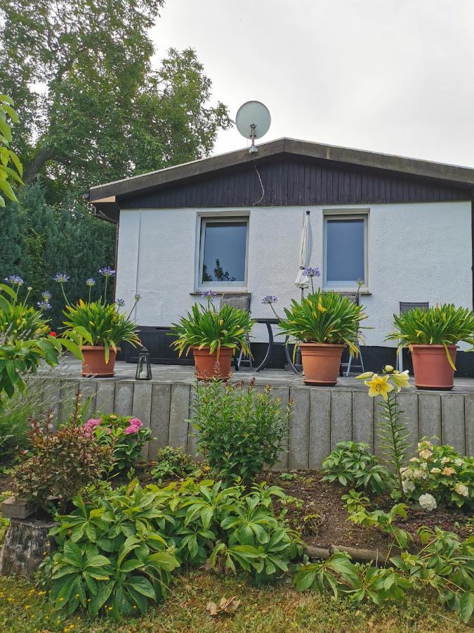 Ferienhaus Appold 韦尼格罗德 外观 照片